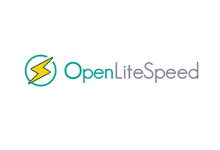 安装OpenLiteSpeed服务后 WordPress网站404错误如何解决？-Ferry资源网